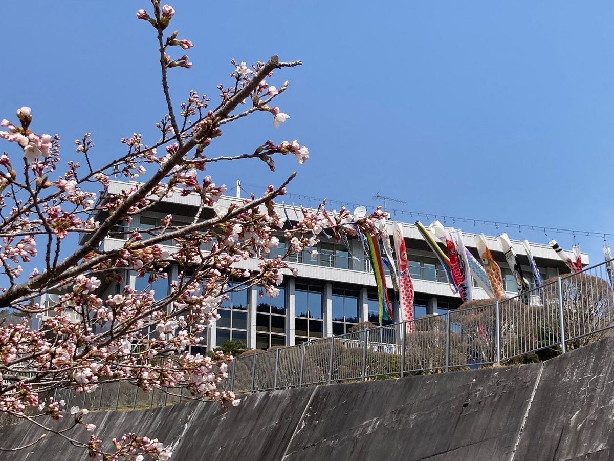 釜房ダムの鯉のぼり