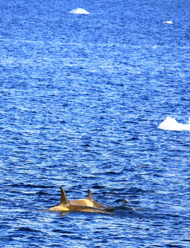 f:id:memora:20110119195548j:image:h400