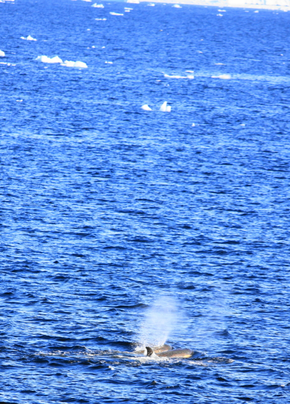f:id:memora:20110119195618j:image:h400 f:id:memora:20110119195618j:image:h400