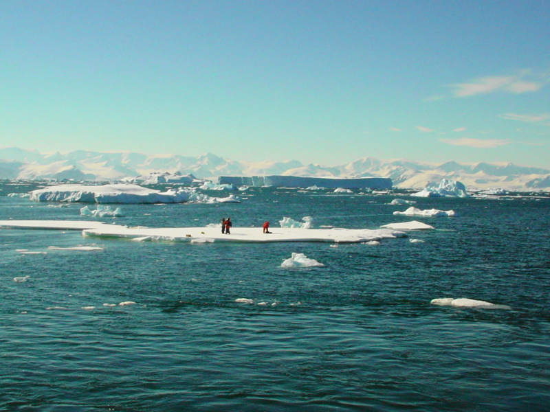 f:id:memora:20110120214726j:image:w350 f:id:memora:20110120214726j:image:w350
