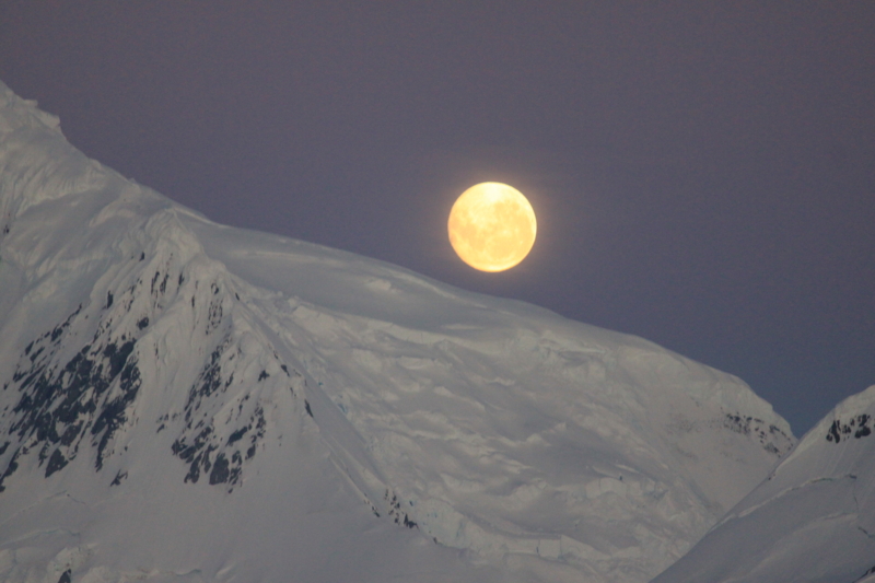 f:id:memora:20110121114008j:image:w800 f:id:memora:20110121114008j:image:w800