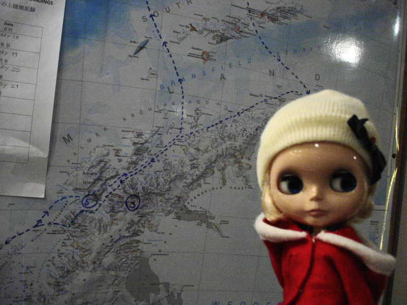 f:id:memora:20110125181720j:image:w350