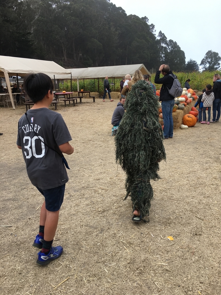 f:id:memorialbench-sf:20181108144732j:plain