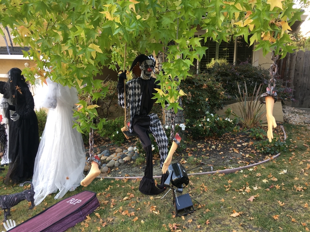 f:id:memorialbench-sf:20181108145138j:plain