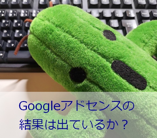 結果を確認するサボテリーヌ