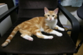 f:id:memory9:20110711221759j:image:medium:left