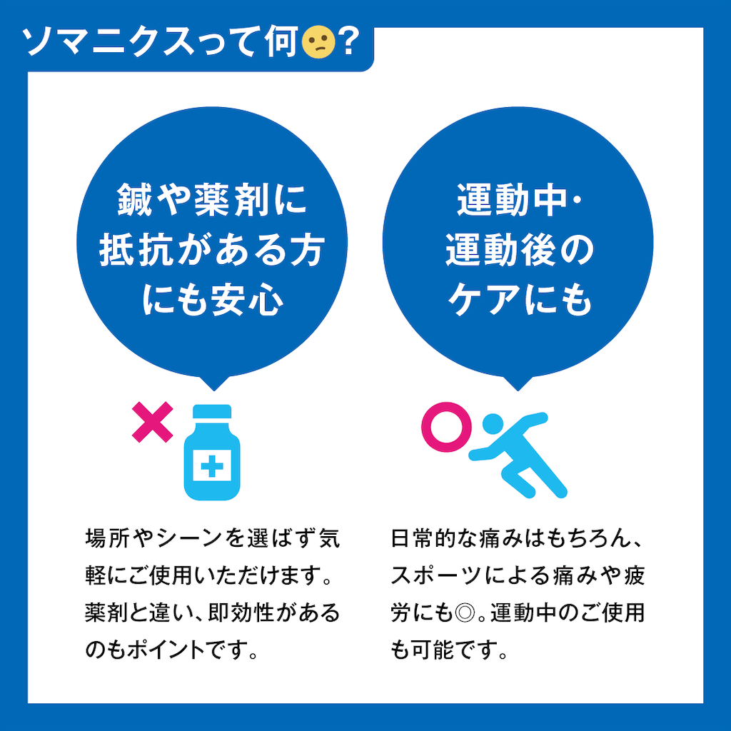 f:id:memuro:20241204125852p:image