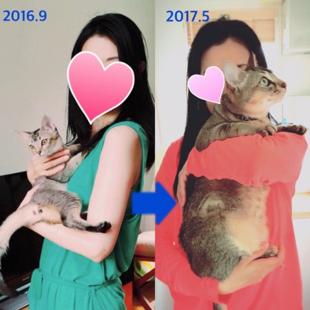 f:id:memy:20170524141708j:image f:id:memy:20170524141708j:image