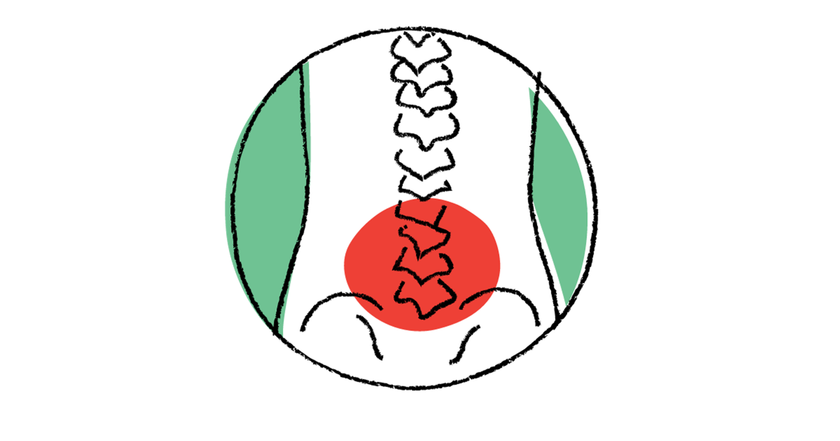 トコちゃんベルトⅡ 骨盤ベルト ネイビー 取扱説明書付き 最新タグ☆L