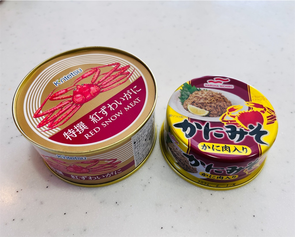 f:id:mendokusainoYADA:20240129143155j:image