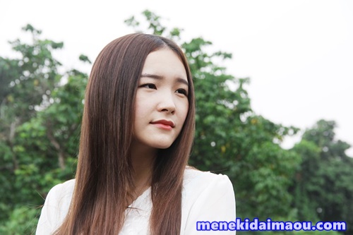 f:id:menekidaimaou:20170408125457j:plain f:id:menekidaimaou:20170408125457j:plain