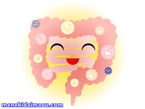 f:id:menekidaimaou:20170520130955j:plain f:id:menekidaimaou:20170520130955j:plain