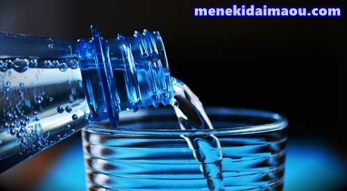 f:id:menekidaimaou:20170627230338j:plain f:id:menekidaimaou:20170627230338j:plain