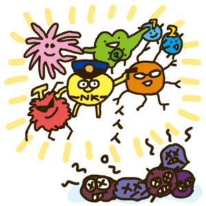f:id:menekiryoku:20170902222714j:plain f:id:menekiryoku:20170902222714j:plain