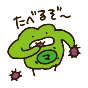 f:id:menekiryoku:20170902222906j:plain f:id:menekiryoku:20170902222906j:plain
