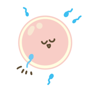 f:id:menekiryoku:20171225230442j:plain f:id:menekiryoku:20171225230442j:plain
