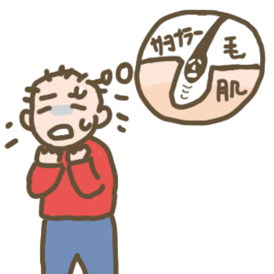 f:id:menekiryoku:20171227000246j:plain f:id:menekiryoku:20171227000246j:plain