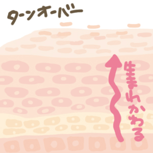 f:id:menekiryoku:20180104230112j:plain f:id:menekiryoku:20180104230112j:plain
