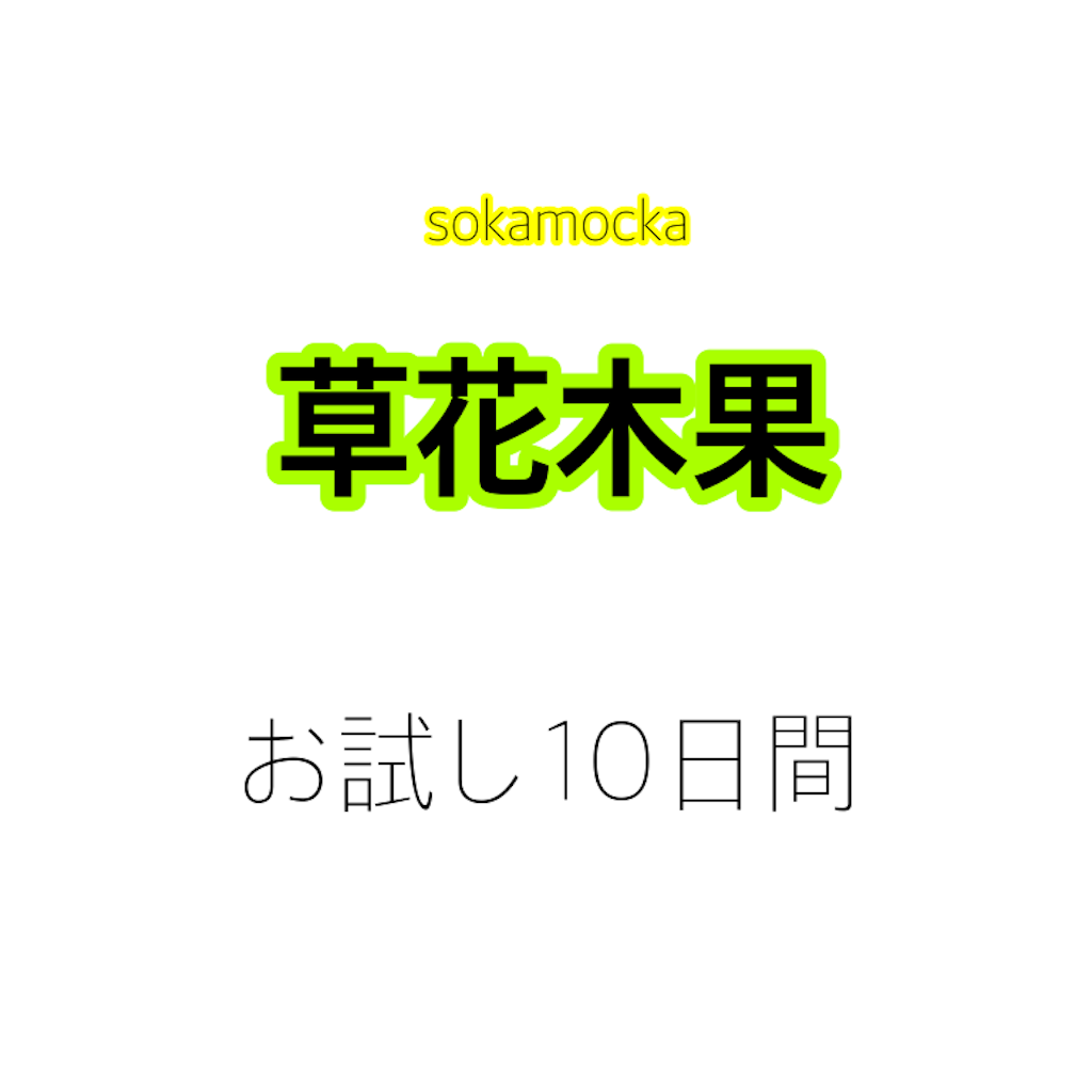 f:id:menhelako:20190720180033p:image