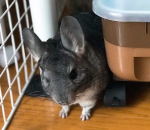 長女あるある13連発!長女の性格・恋愛 ...