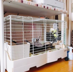 ペットスペースをスッキリ収納 ケージ4つ めんこい おうち ペットスペースをスッキリ収納 ケージ4つ めんこい おうち