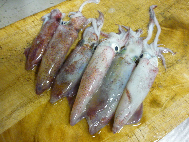 f:id:menkui375:20160827170427j:image f:id:menkui375:20160827170427j:image