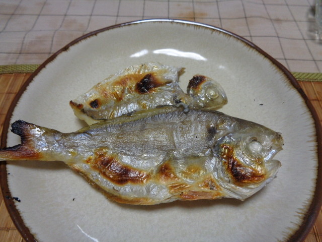 カツオ しず コノシロなど うまげな話 カツオ しず コノシロなど うまげな話