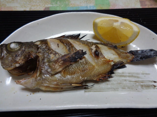f:id:menkui375:20190503182553j:plain