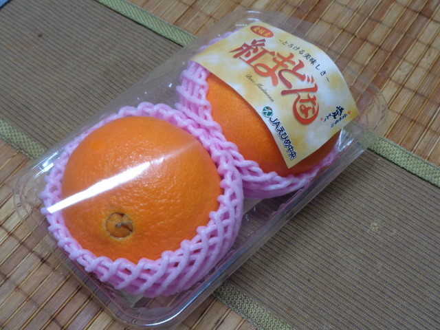 f:id:menkui375:20191227223939j:plain