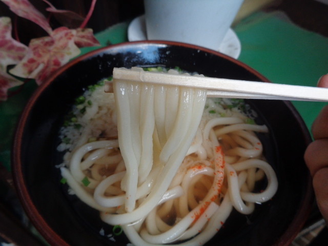 f:id:menkui375:20191231081506j:plain