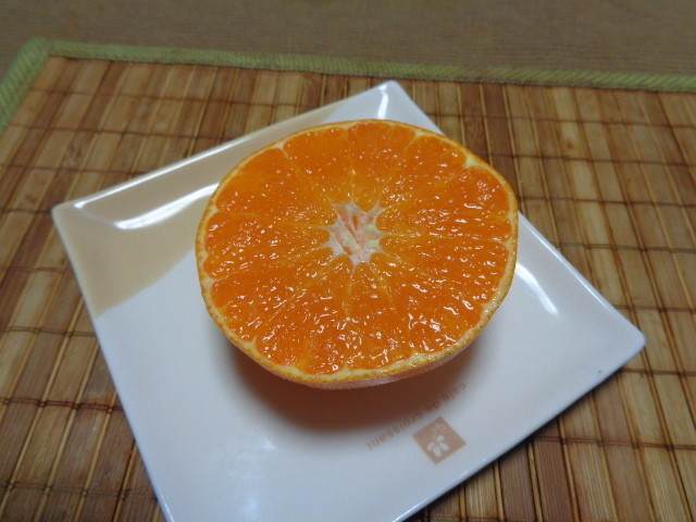 f:id:menkui375:20200207225043j:plain
