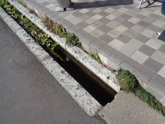 f:id:menkui375:20200224095046j:plain f:id:menkui375:20200224095046j:plain