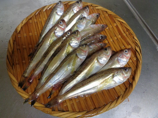f:id:menkui375:20200321172727j:plain f:id:menkui375:20200321172727j:plain