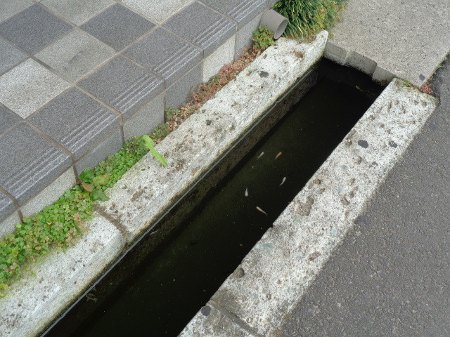 f:id:menkui375:20200724075642j:plain f:id:menkui375:20200724075642j:plain