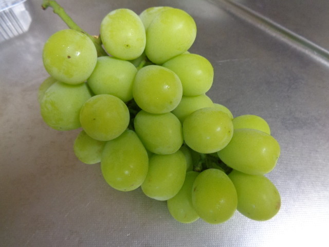f:id:menkui375:20200912225040j:plain f:id:menkui375:20200912225040j:plain
