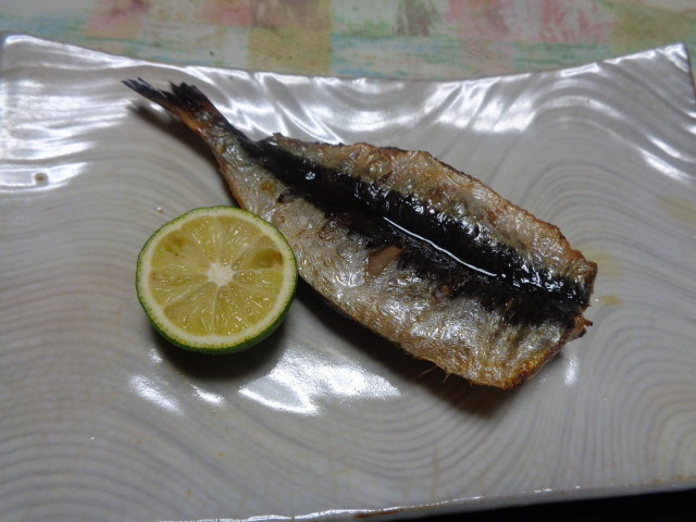 f:id:menkui375:20201102192912j:plain f:id:menkui375:20201102192912j:plain