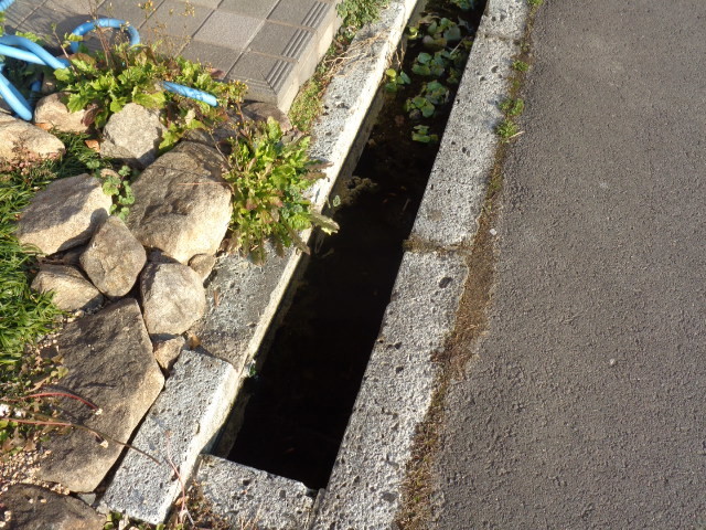 f:id:menkui375:20210206082901j:plain
