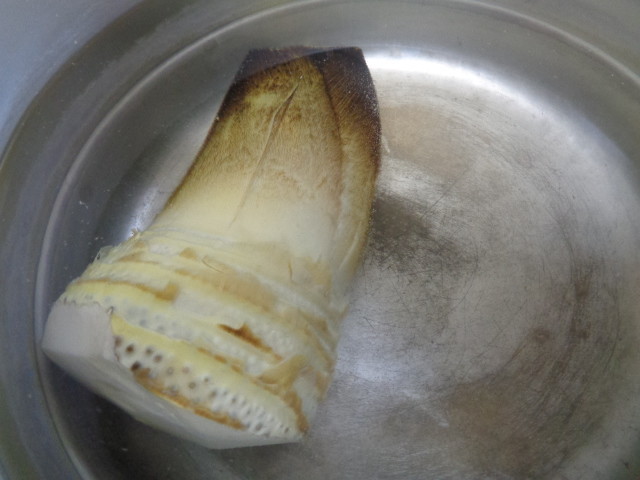 f:id:menkui375:20210505114045j:plain