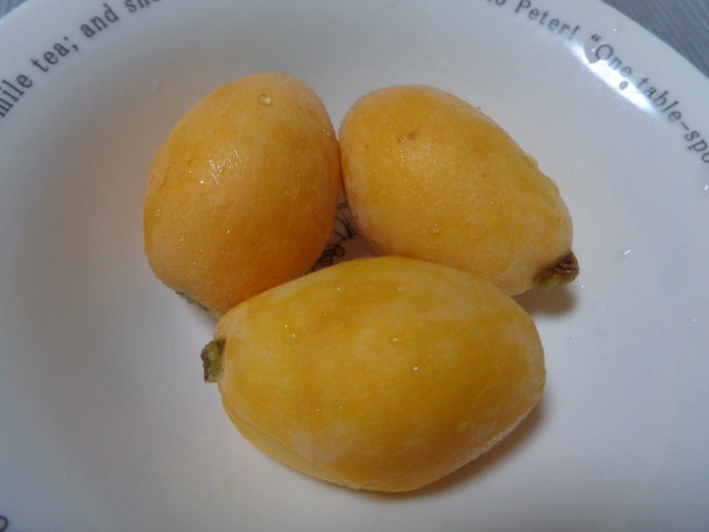 f:id:menkui375:20210606225254j:plain