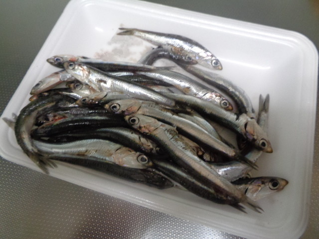 f:id:menkui375:20210623150341j:plain