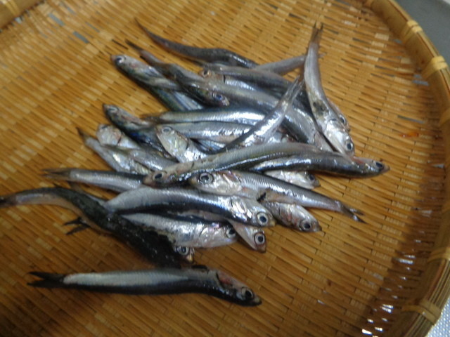 f:id:menkui375:20210623150424j:plain