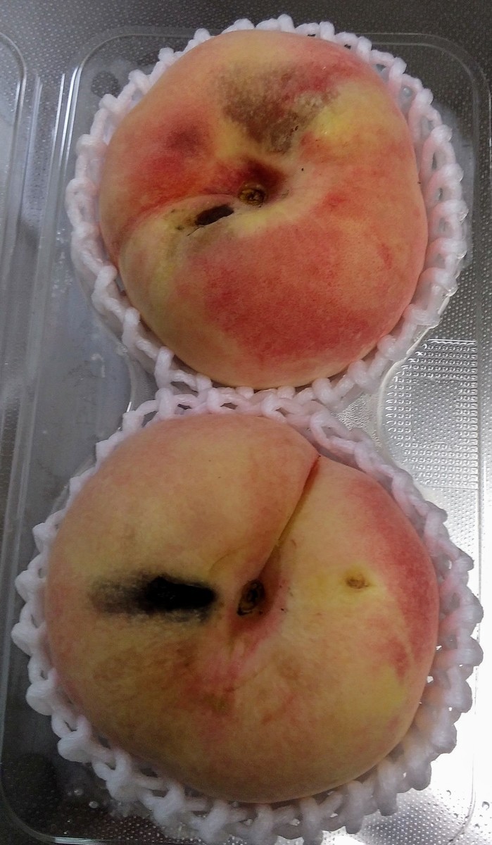 f:id:menkui375:20210719141748j:plain