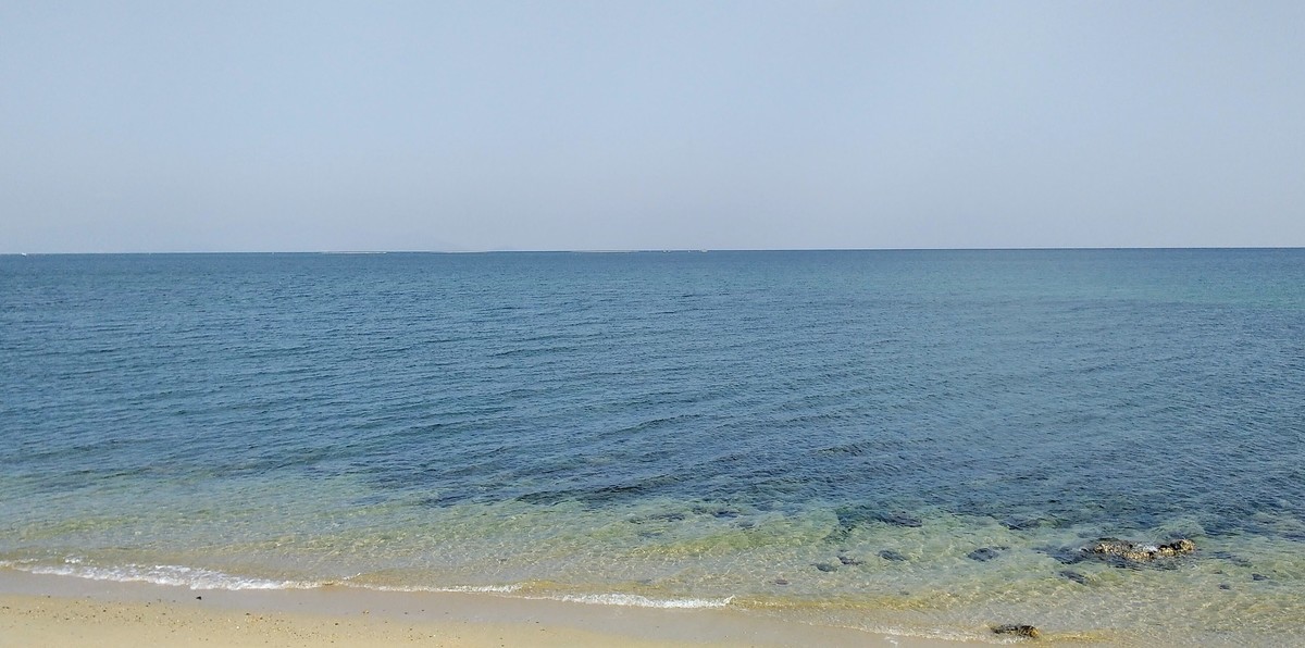 f:id:menkui375:20211115113231j:plain
