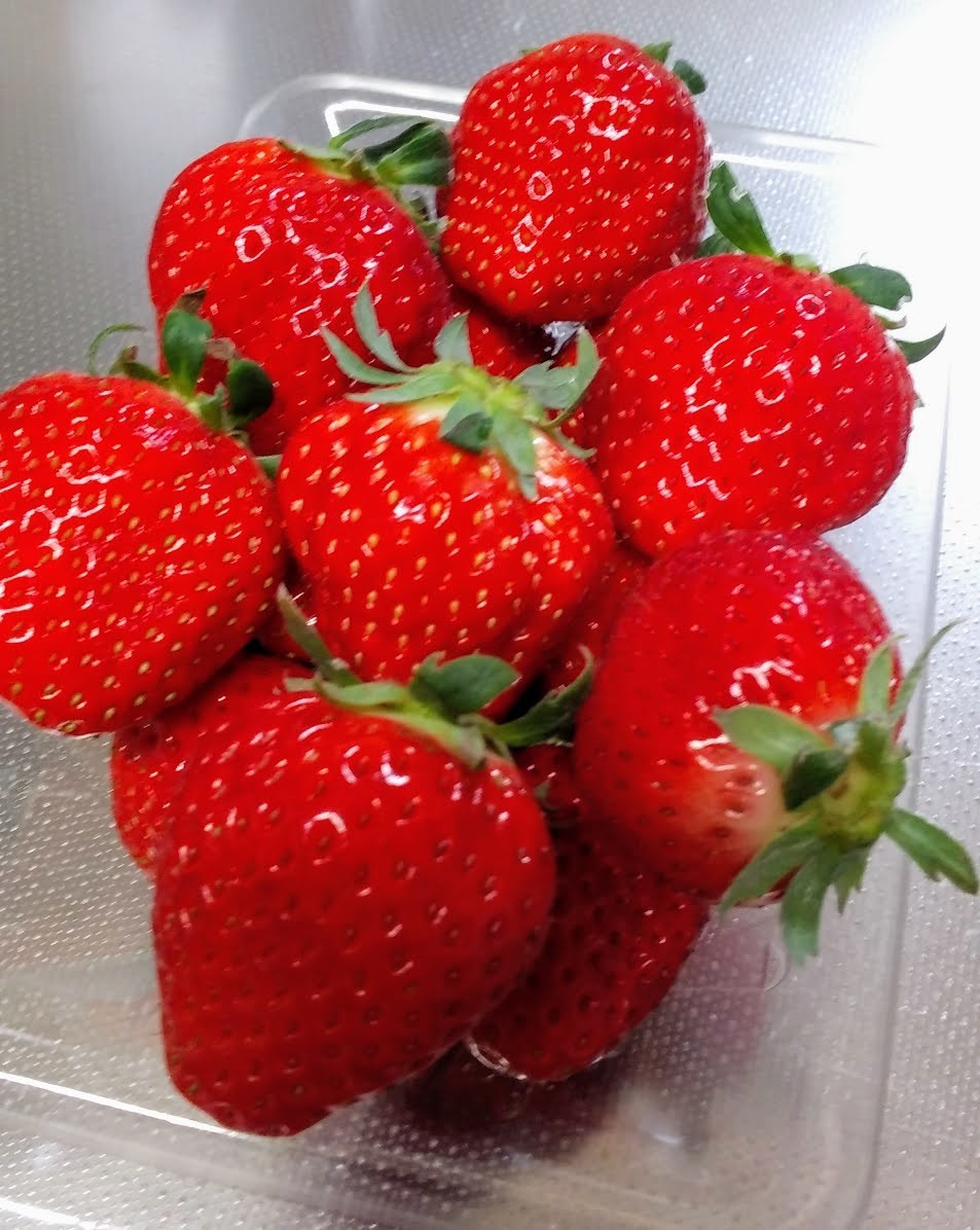 f:id:menkui375:20220124220204j:plain