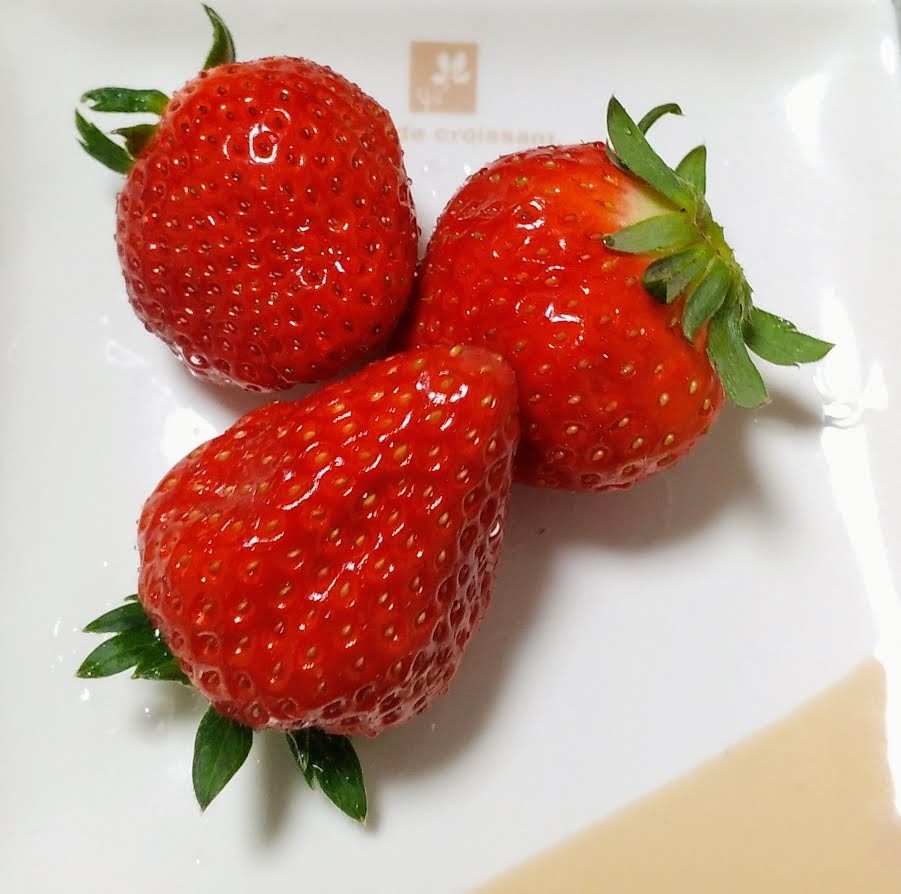 f:id:menkui375:20220124220359j:plain