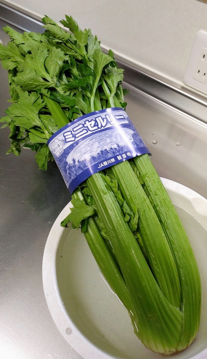 セロリとは 食の人気 最新記事を集めました はてな