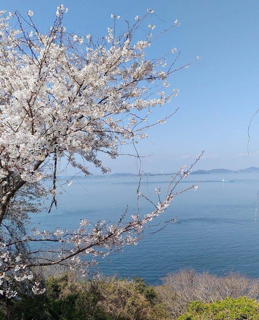 f:id:menkui375:20220404112431j:plain