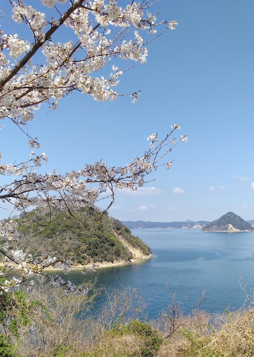 f:id:menkui375:20220404112524j:plain