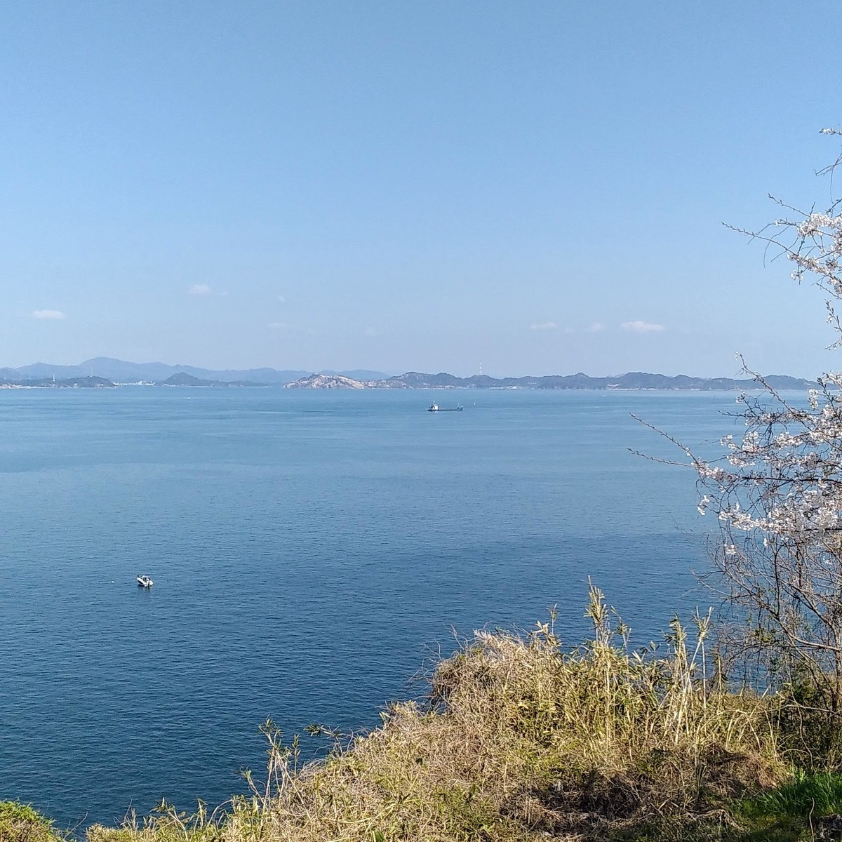 f:id:menkui375:20220404112738j:plain