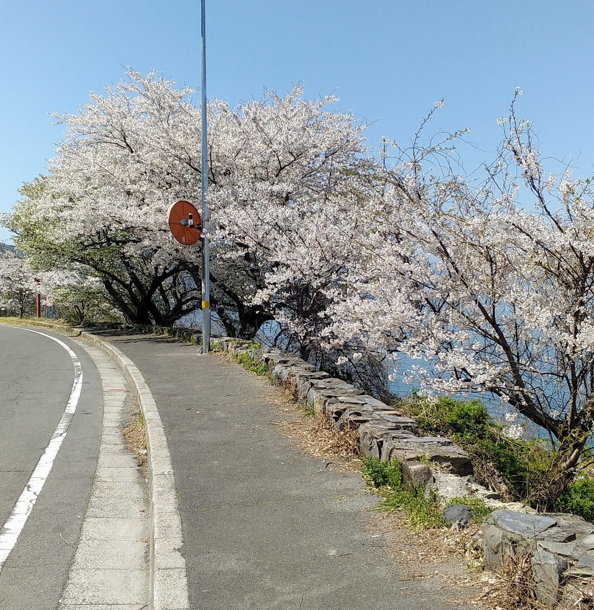 f:id:menkui375:20220404112838j:plain